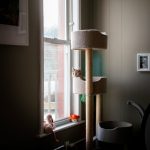 Cat tower