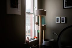 Cat tower