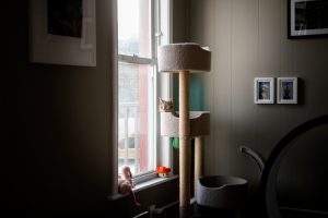 Cat tower