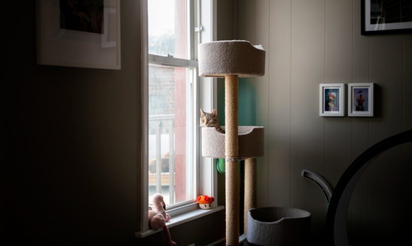 Cat tower