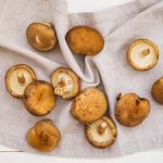 Jamur shitake