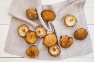Jamur shitake